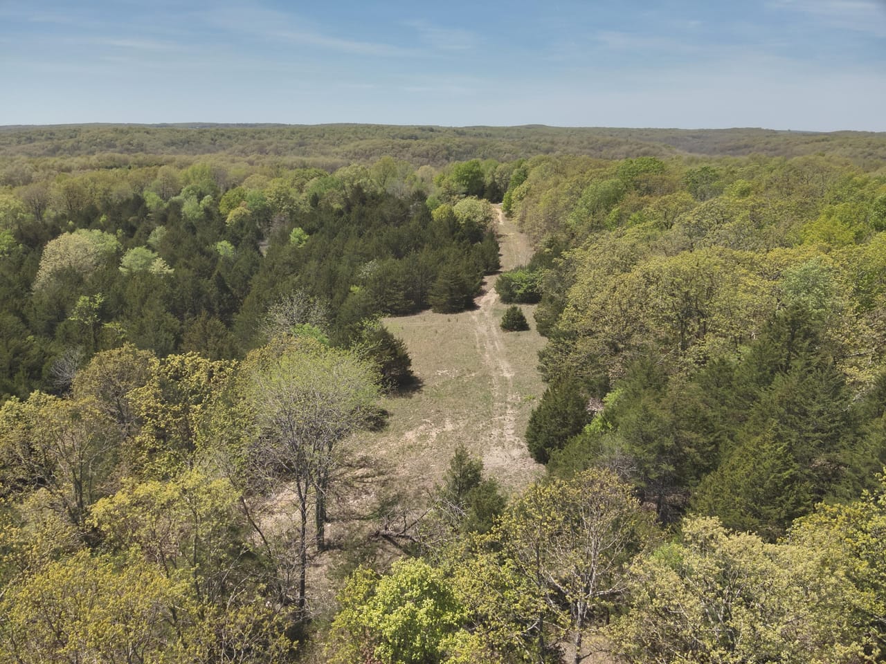 Listing Image 72