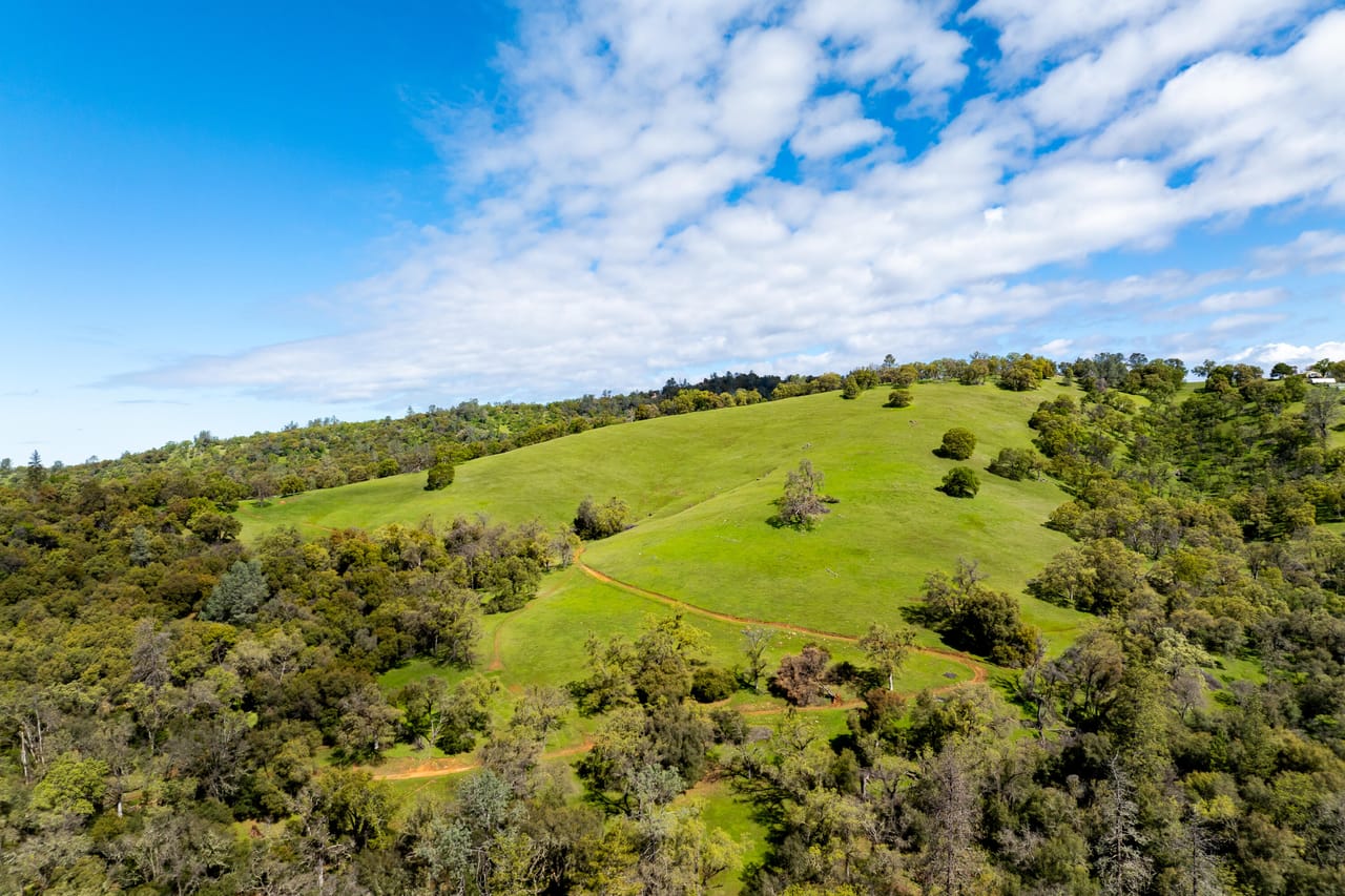 Listing Image 59