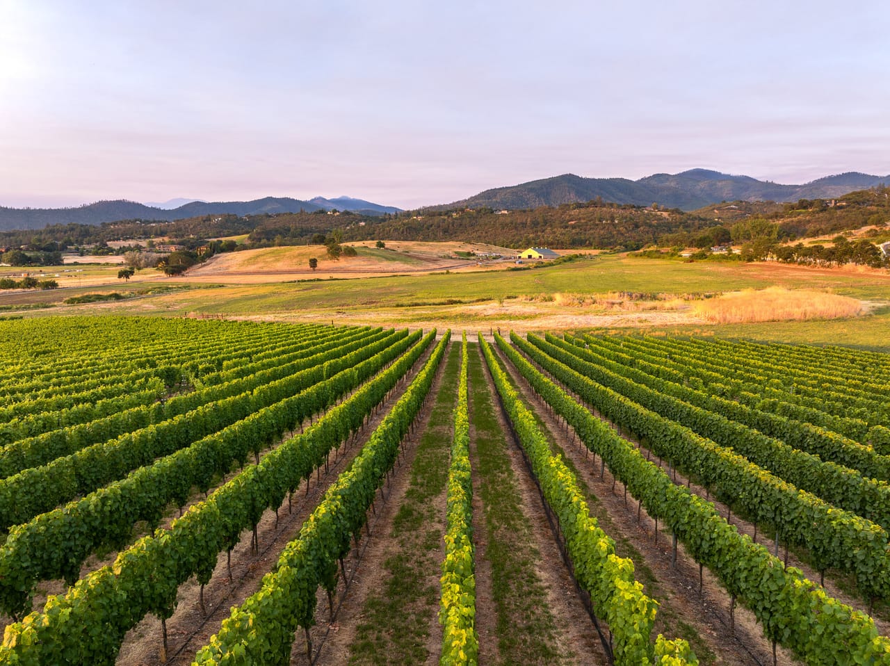 Carpenter Hill Ranch & Vineyard - 939 Carpenter Hill Road
