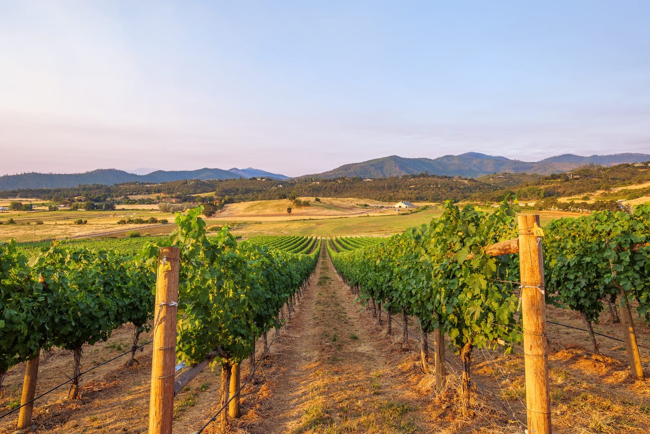 Carpenter Hill Ranch & Vineyard - 939 Carpenter Hill Road