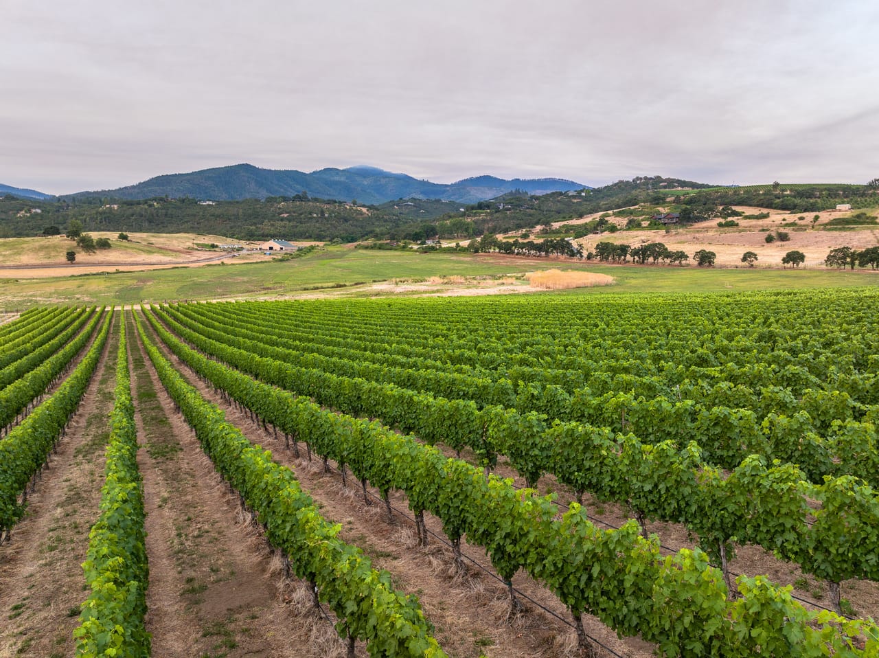 Carpenter Hill Ranch & Vineyard - 939 Carpenter Hill Road