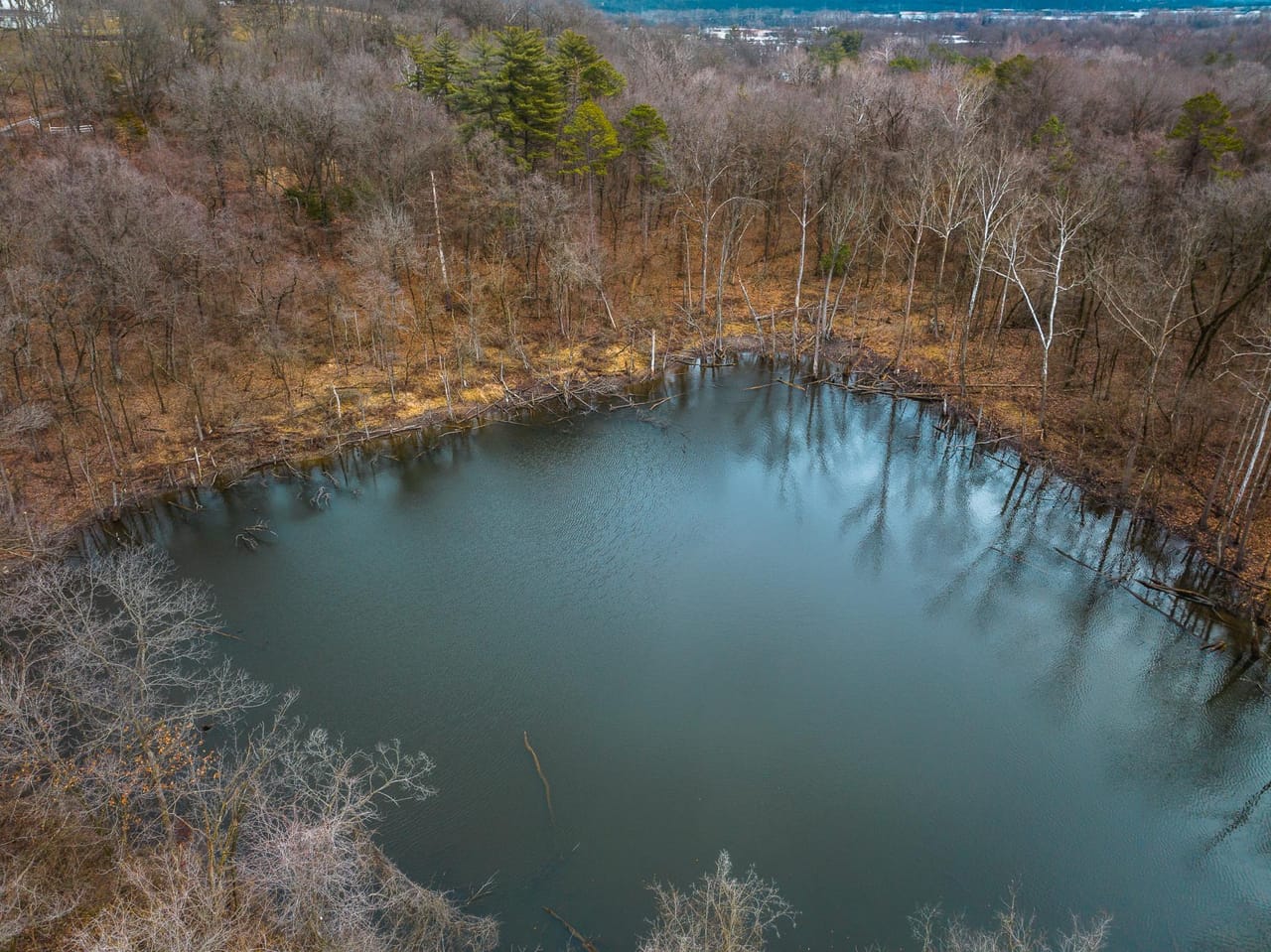 Listing Image 9