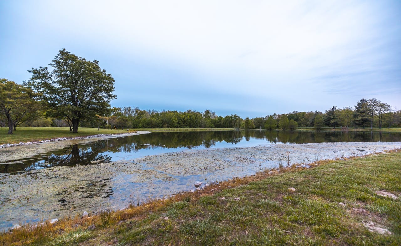 Listing Image 75