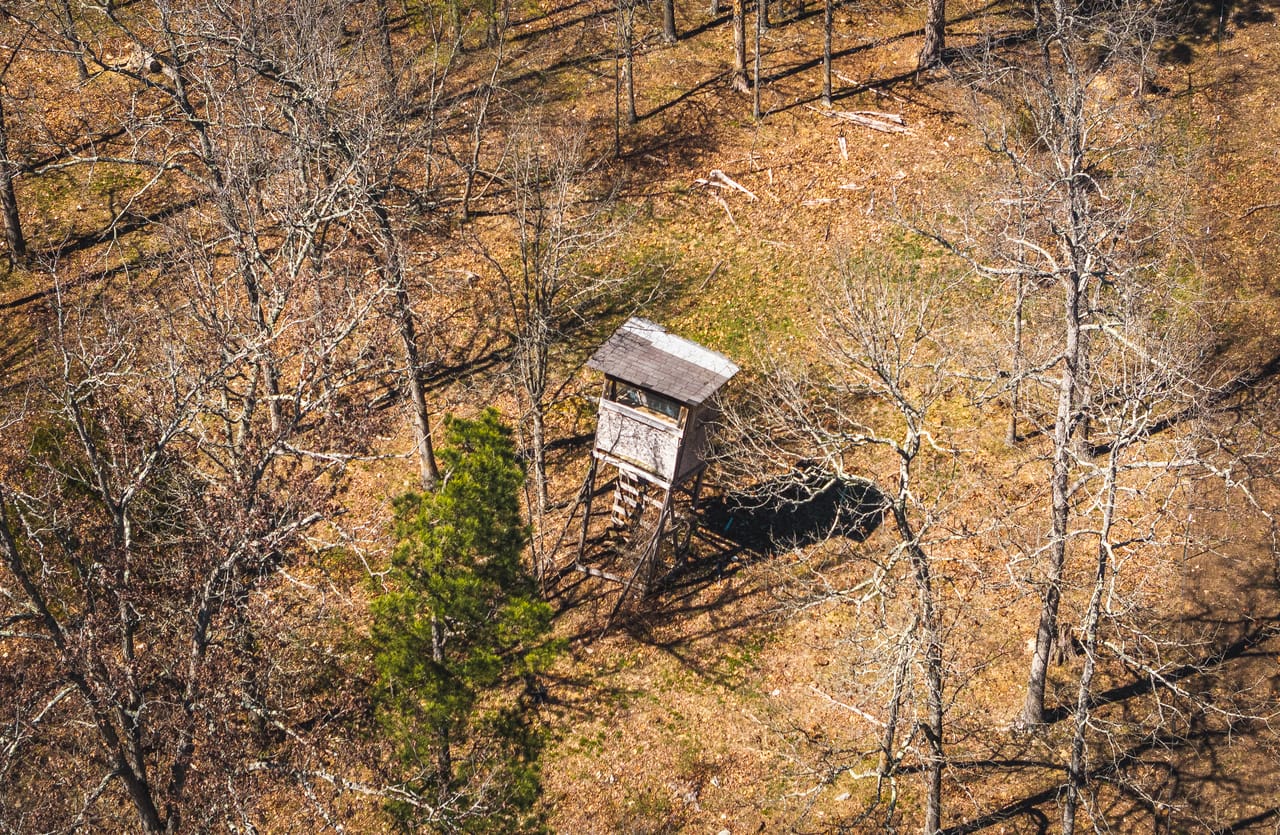 Listing Image 6
