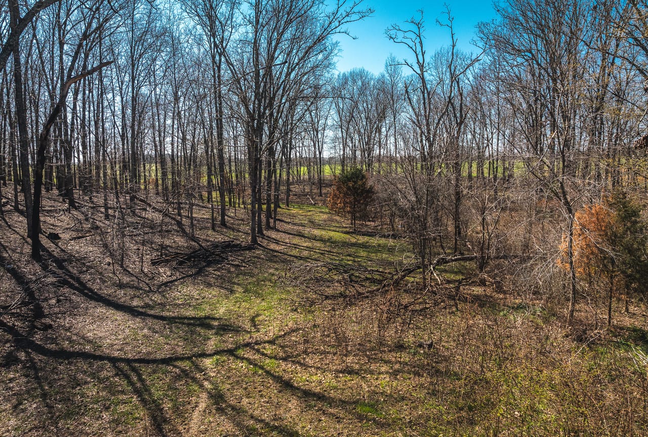 Listing Image 8