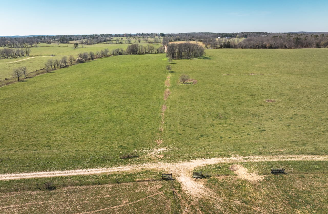 Listing Image 29