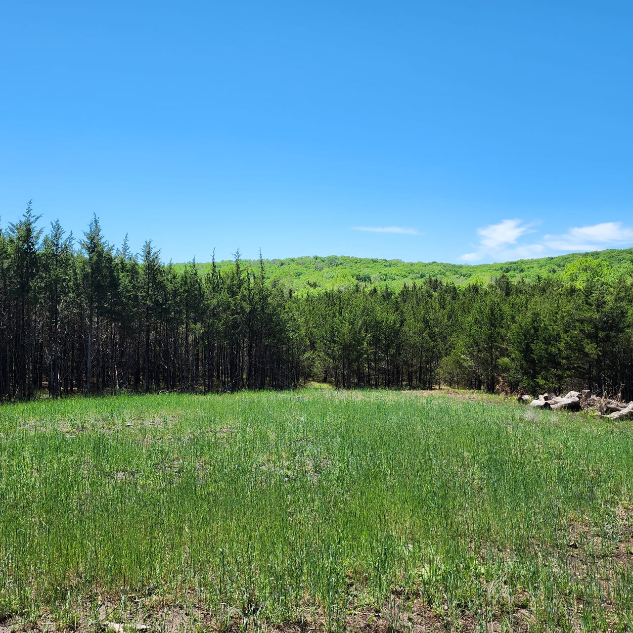 Listing Image 47