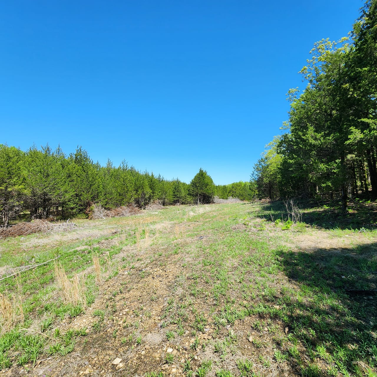 Listing Image 49