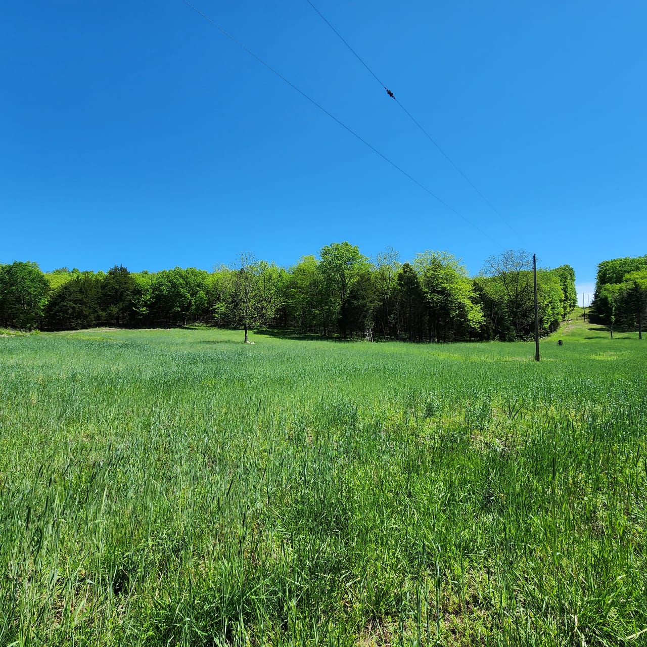 Listing Image 51