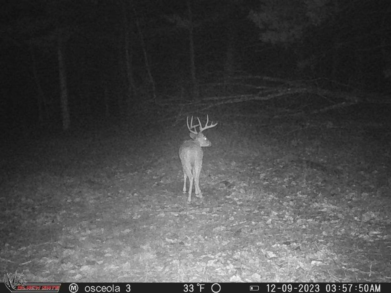 Listing Image 69