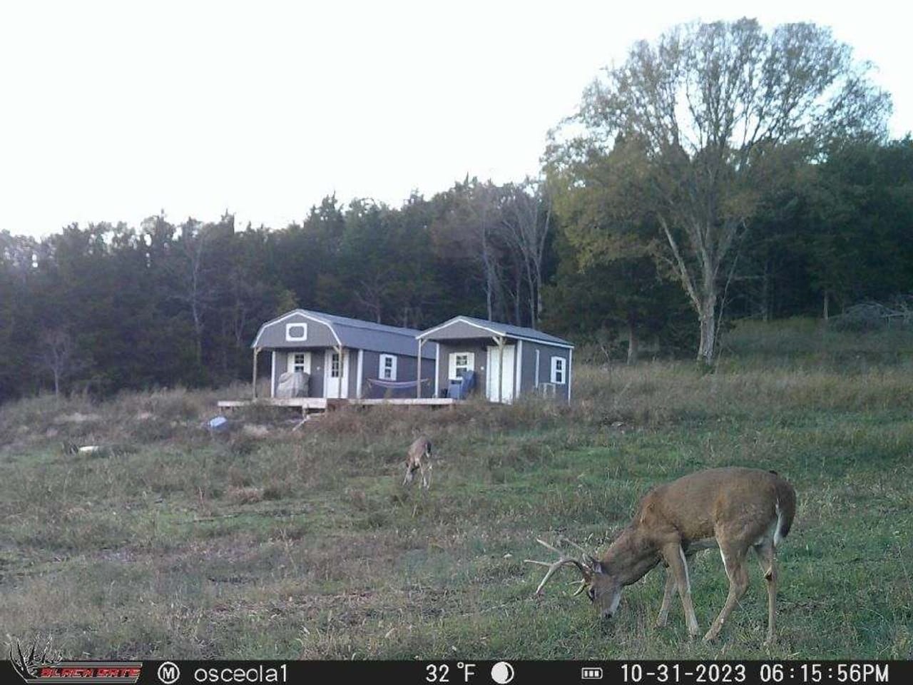 Listing Image 71