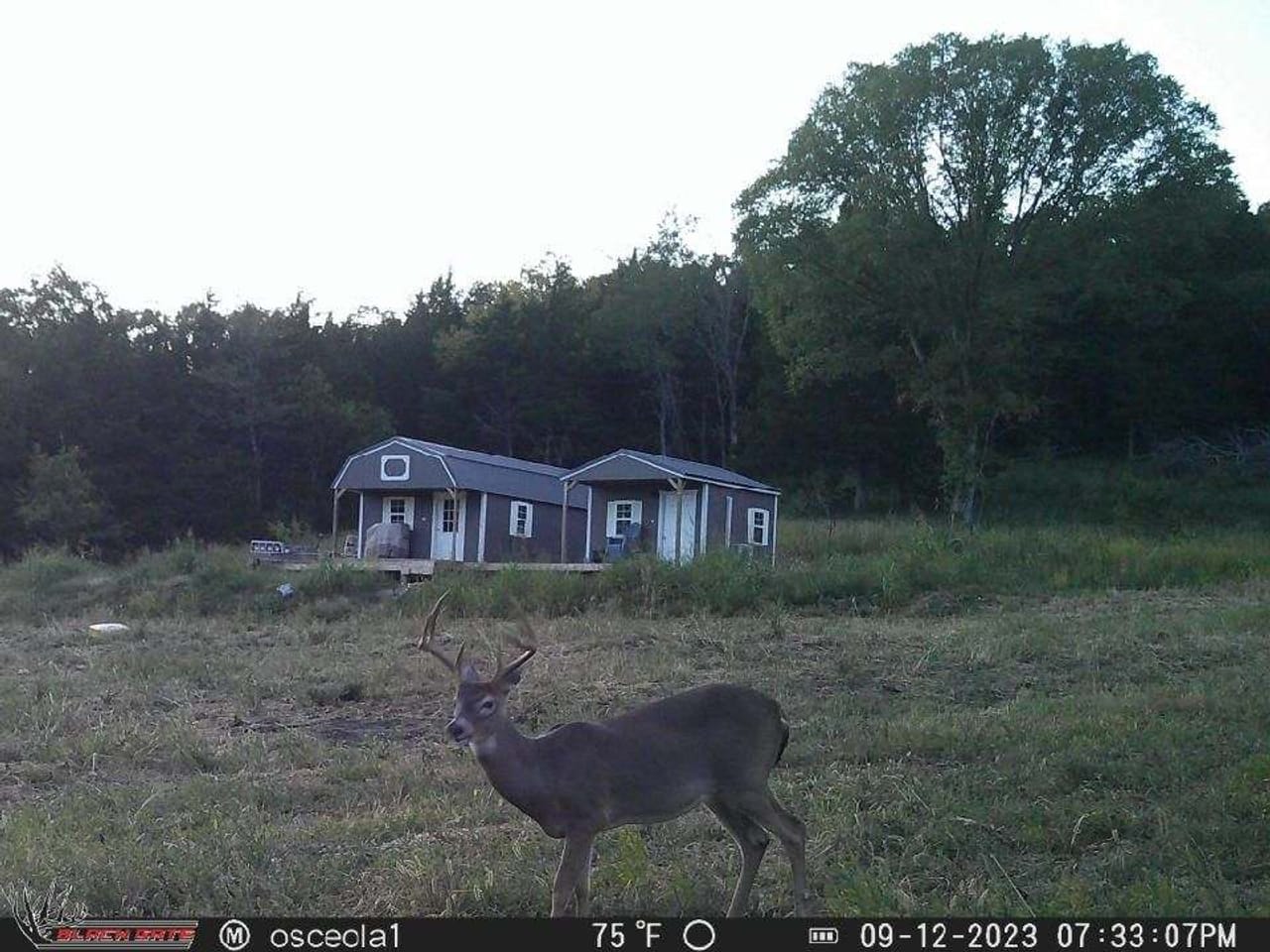 Listing Image 32