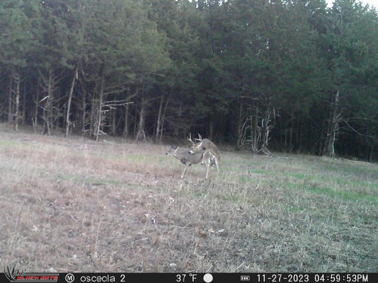 Listing Image 37