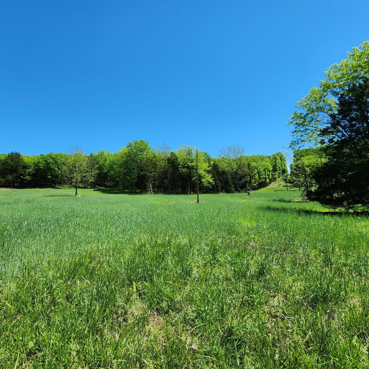 Listing Image 64