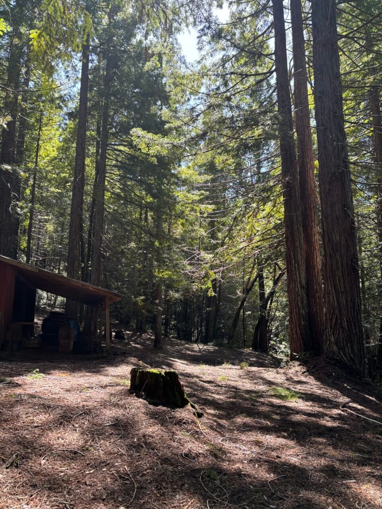 Listing Image 22