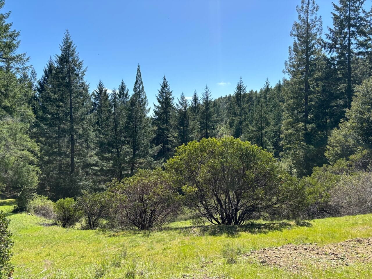 Listing Image 52