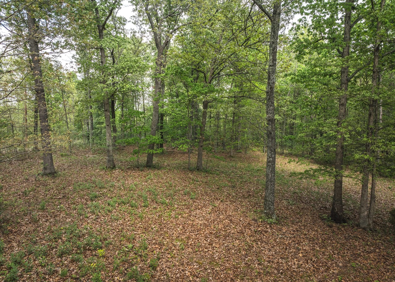 Listing Image 88