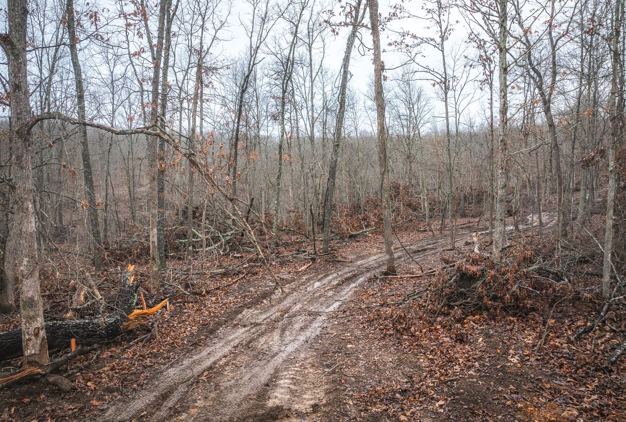 Listing Image 102