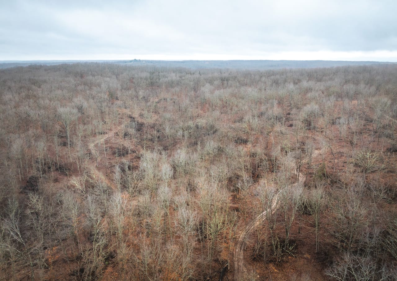 Listing Image 115