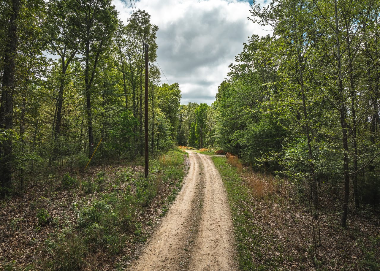 Listing Image 109