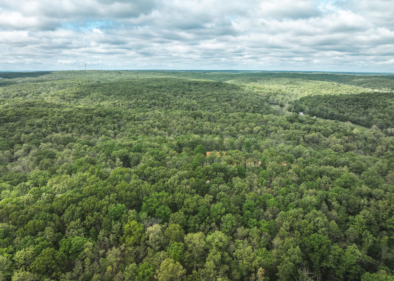 Listing Image 84