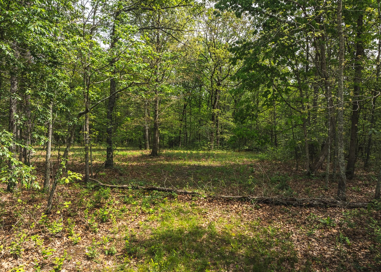 Listing Image 107