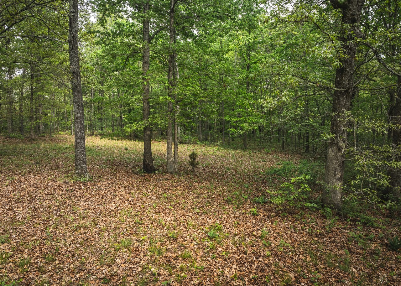 Listing Image 110