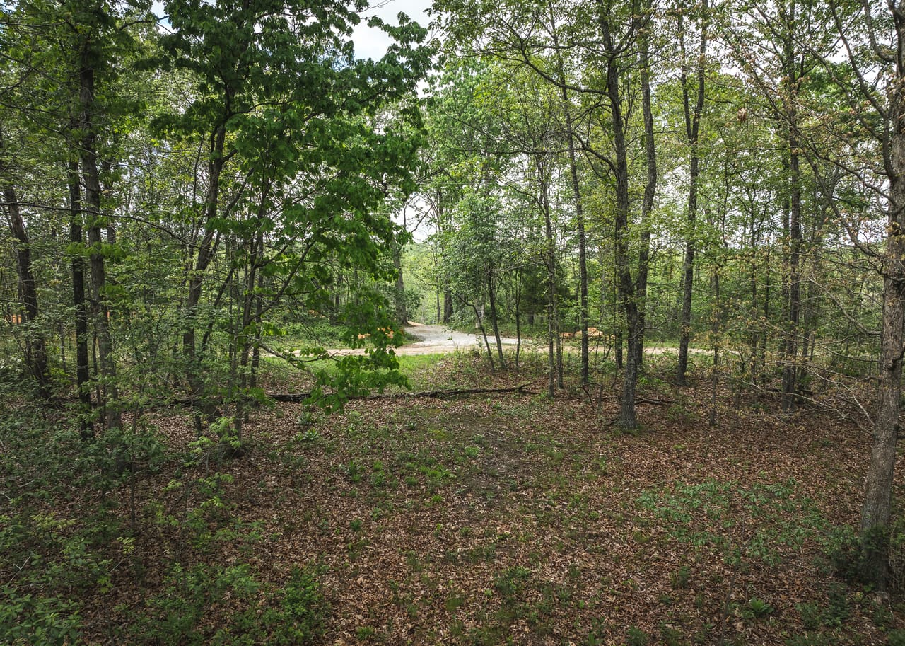 Listing Image 120