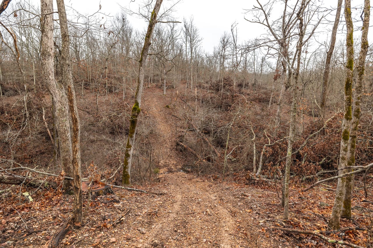 Listing Image 127