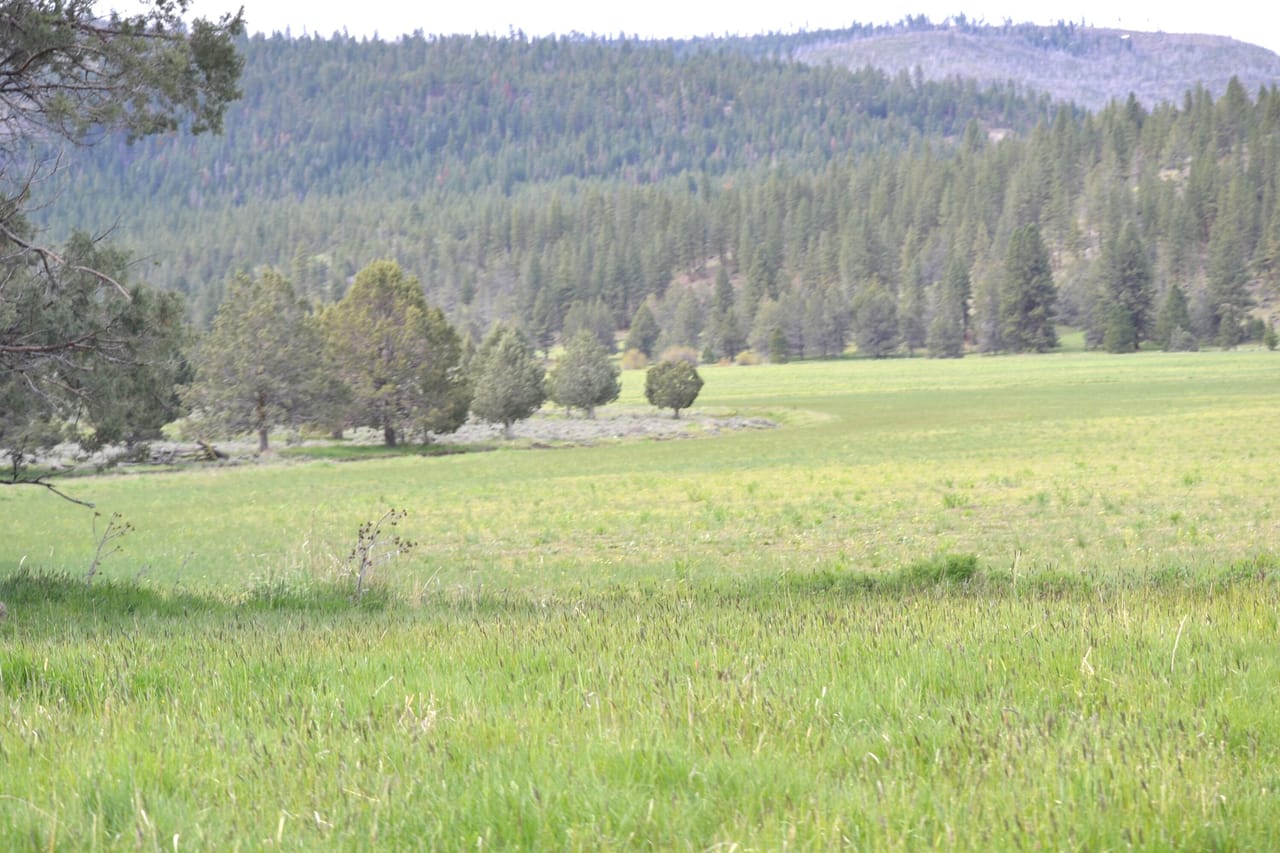 Listing Image 83