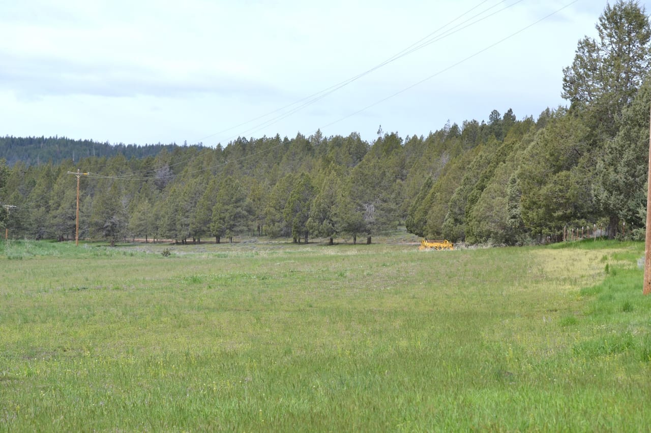 Listing Image 57