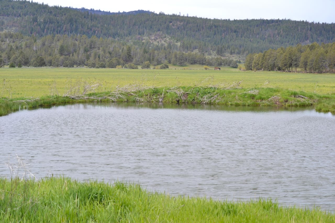 Listing Image 63