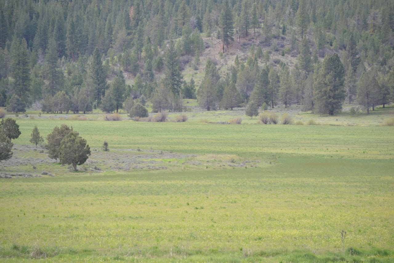 Listing Image 71