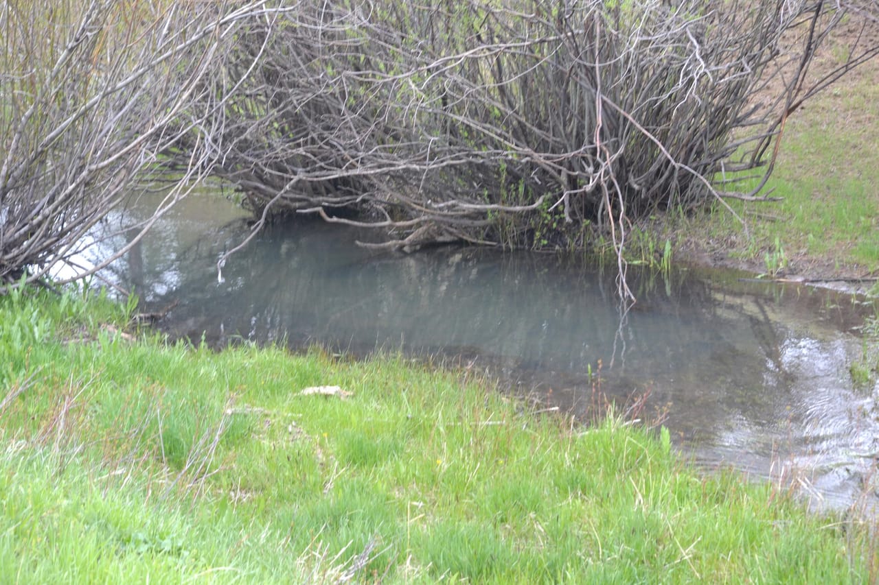 Listing Image 77