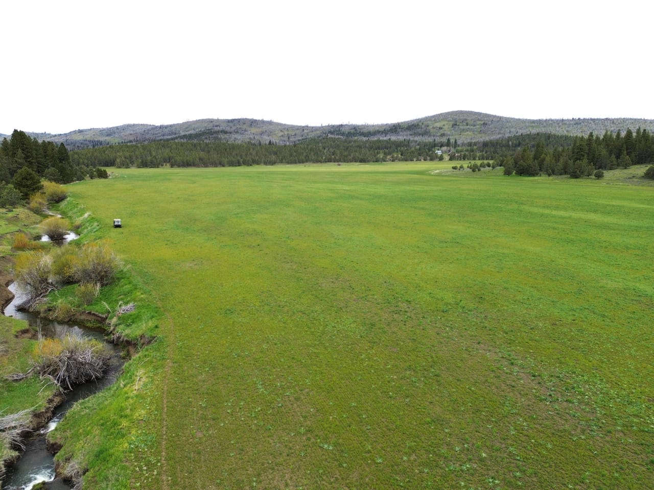 Listing Image 25