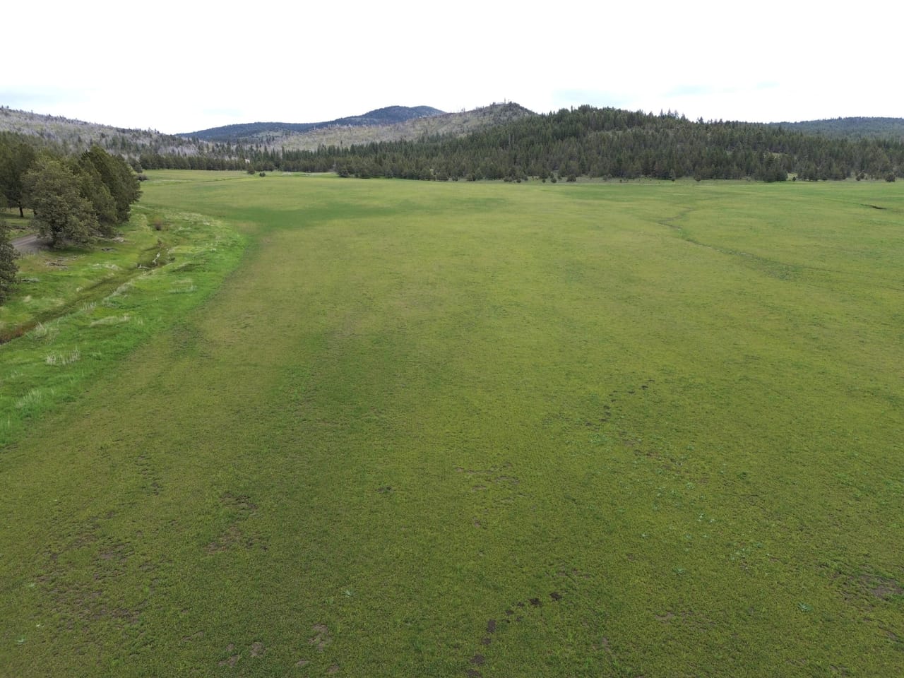 Listing Image 33