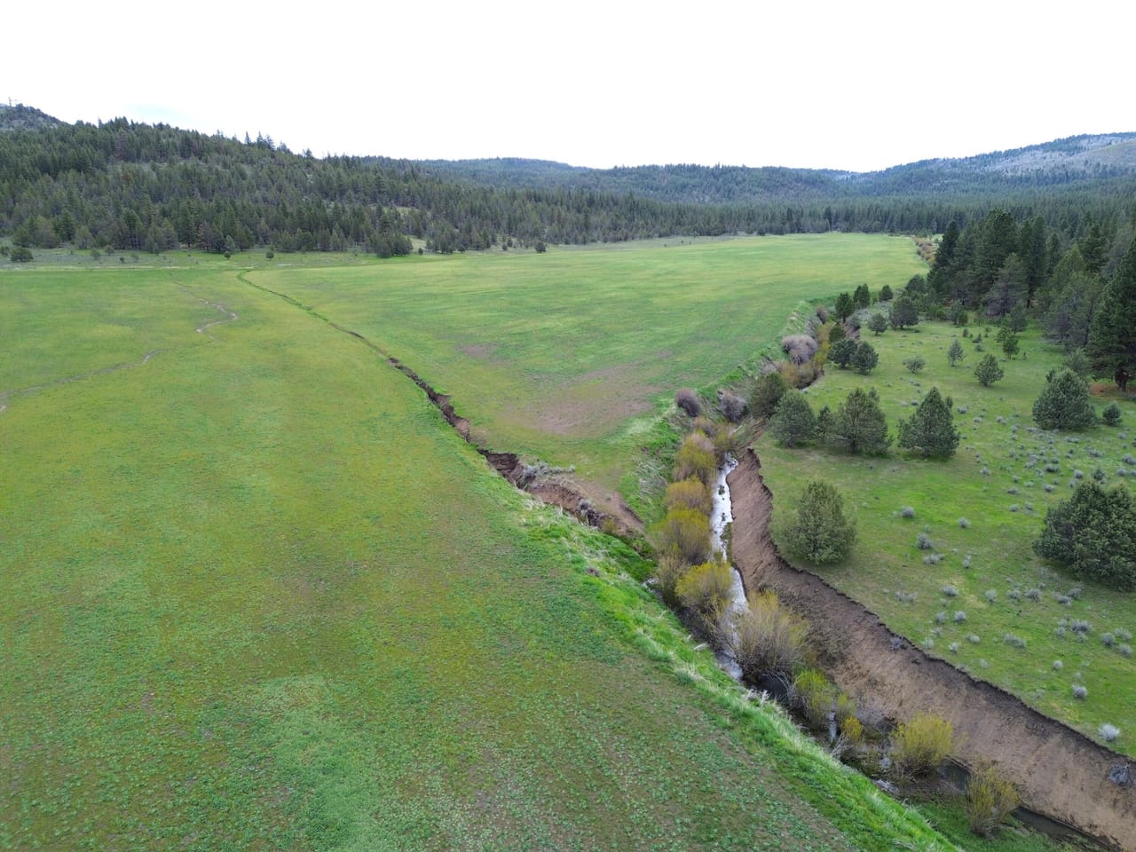Listing Image 36