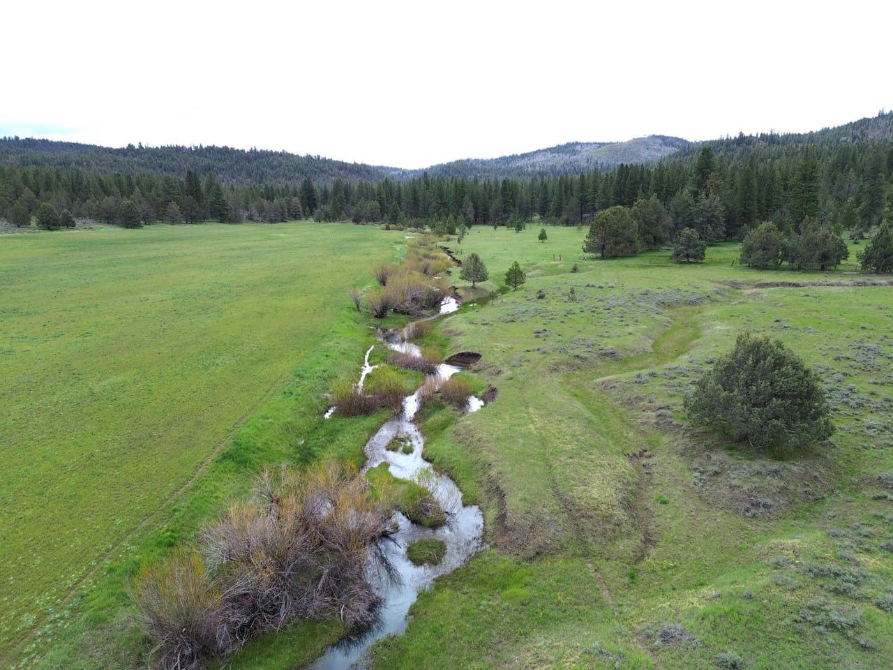 Listing Image 38