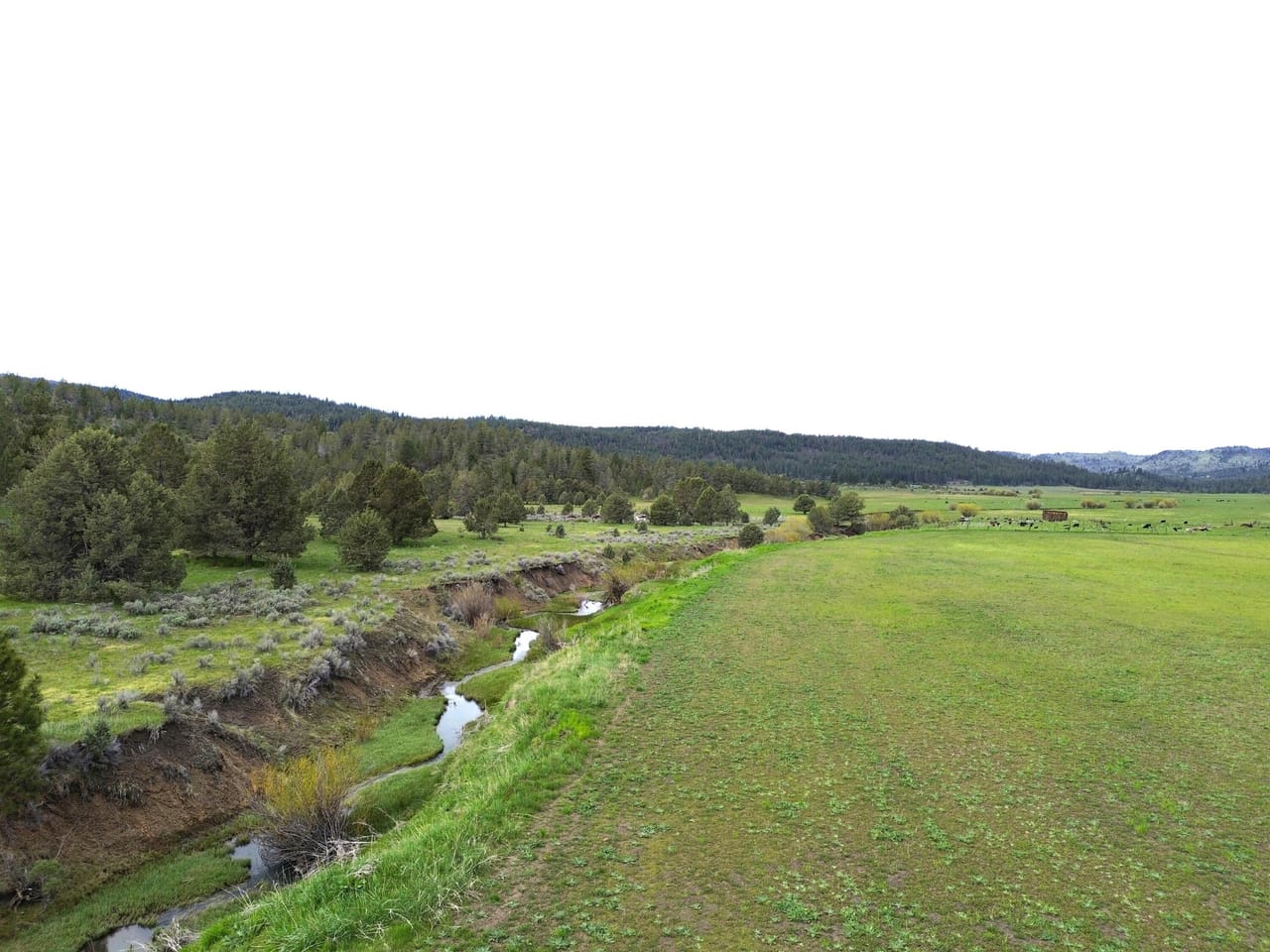 Listing Image 40