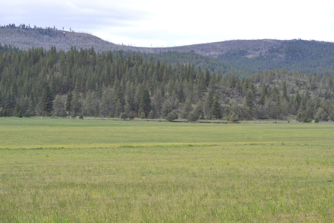 Listing Image 41