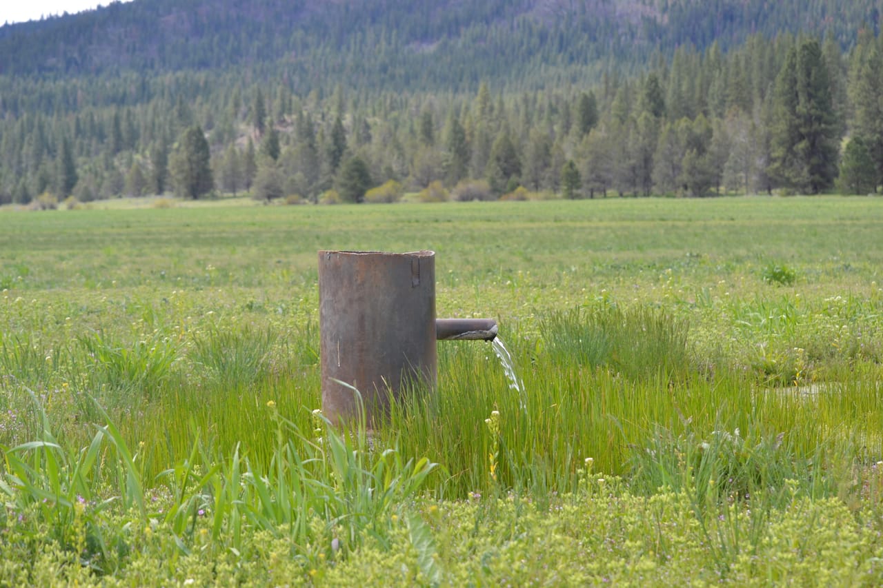 Listing Image 42