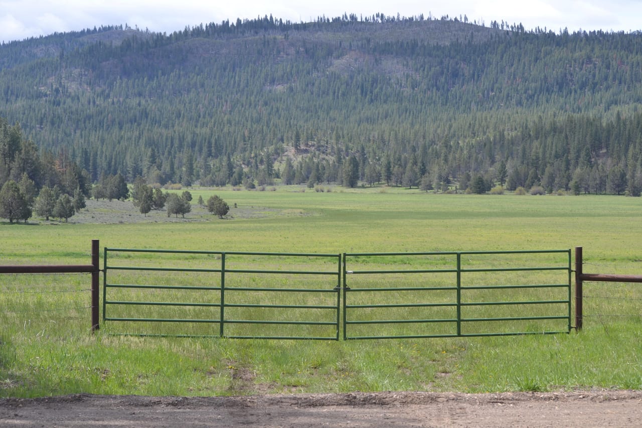 Listing Image 45