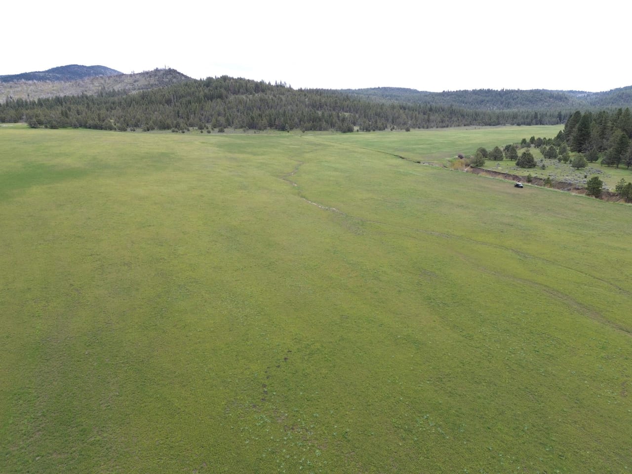 Listing Image 46
