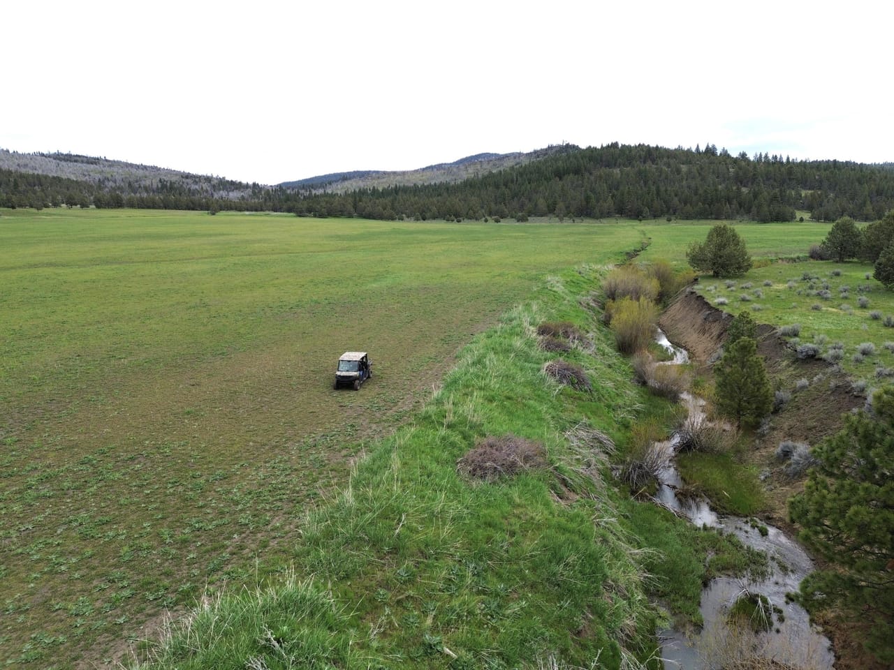 Listing Image 48