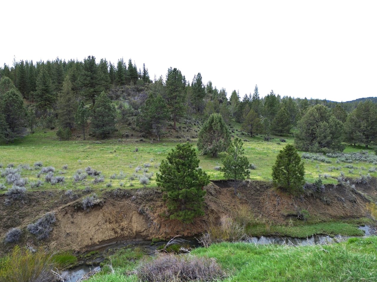 Listing Image 50