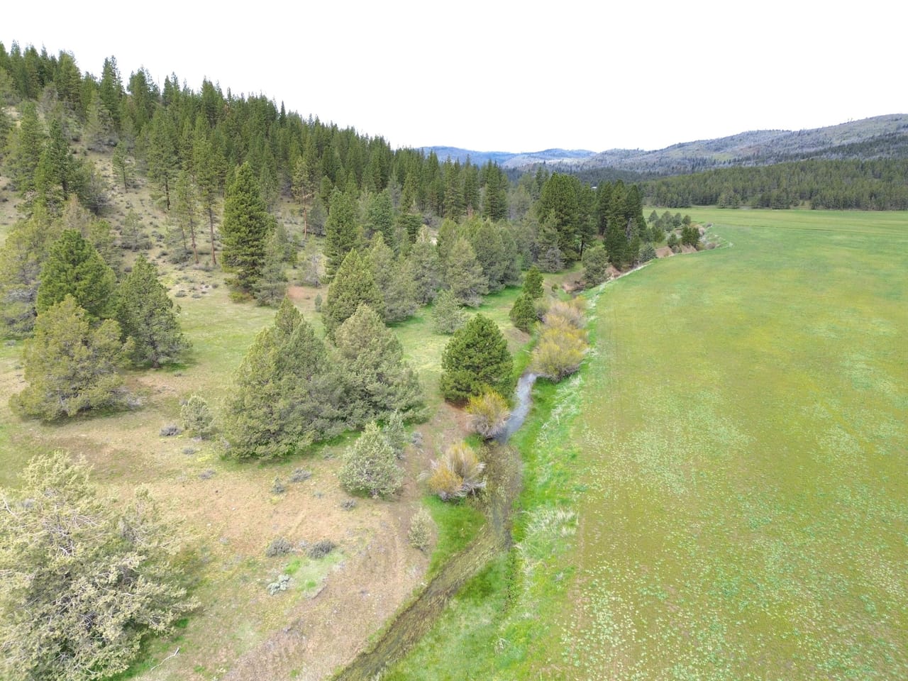 Listing Image 51