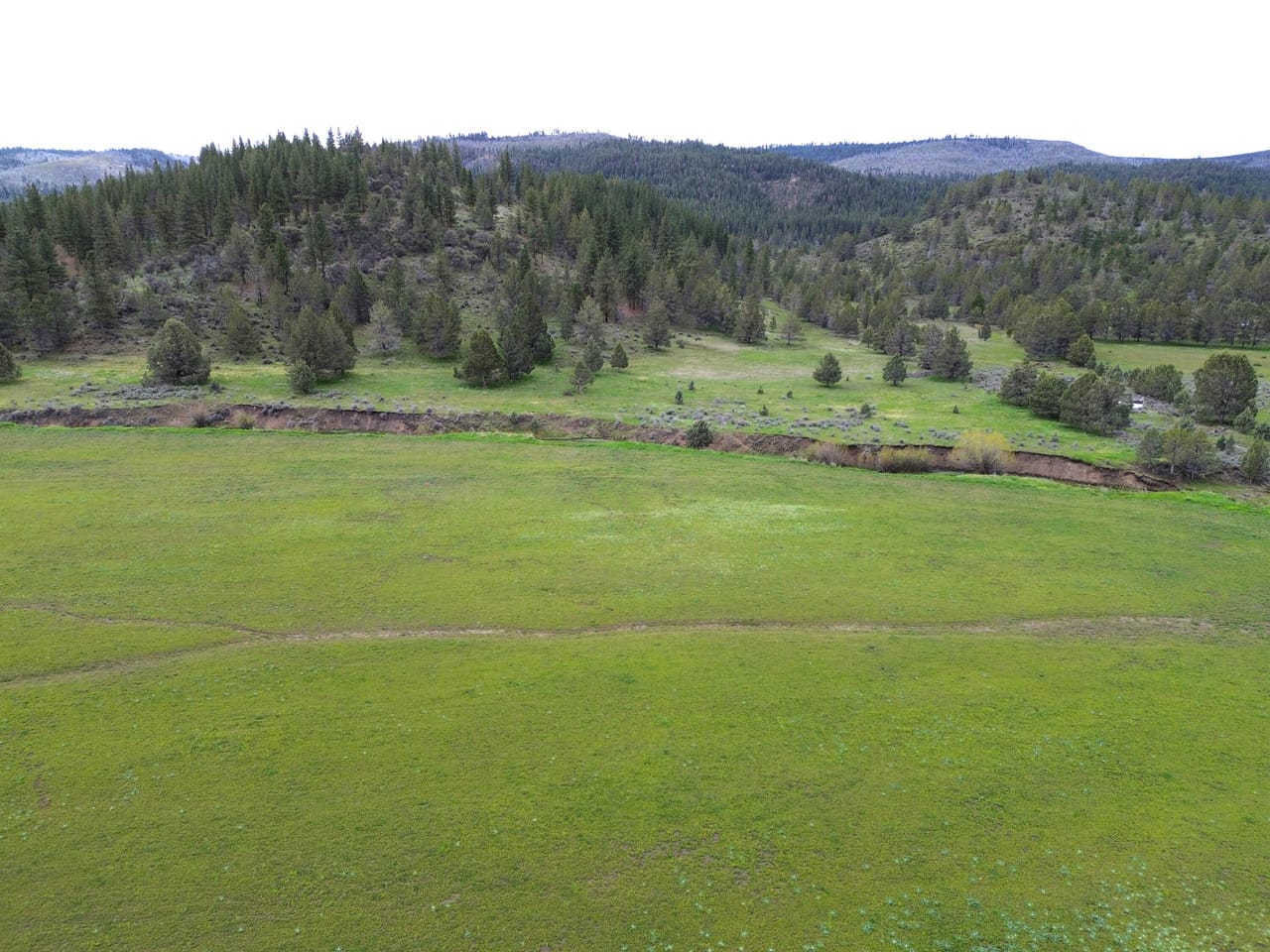 Listing Image 52
