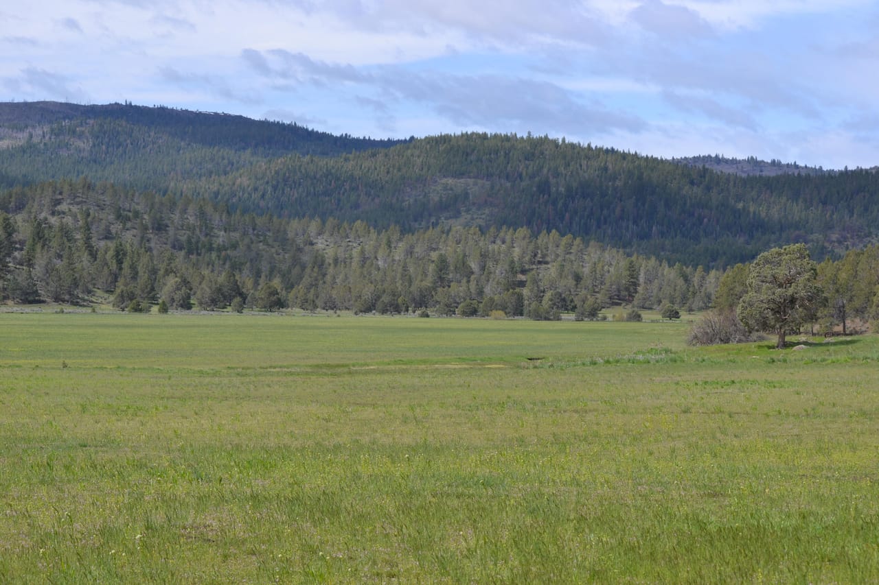 Listing Image 53