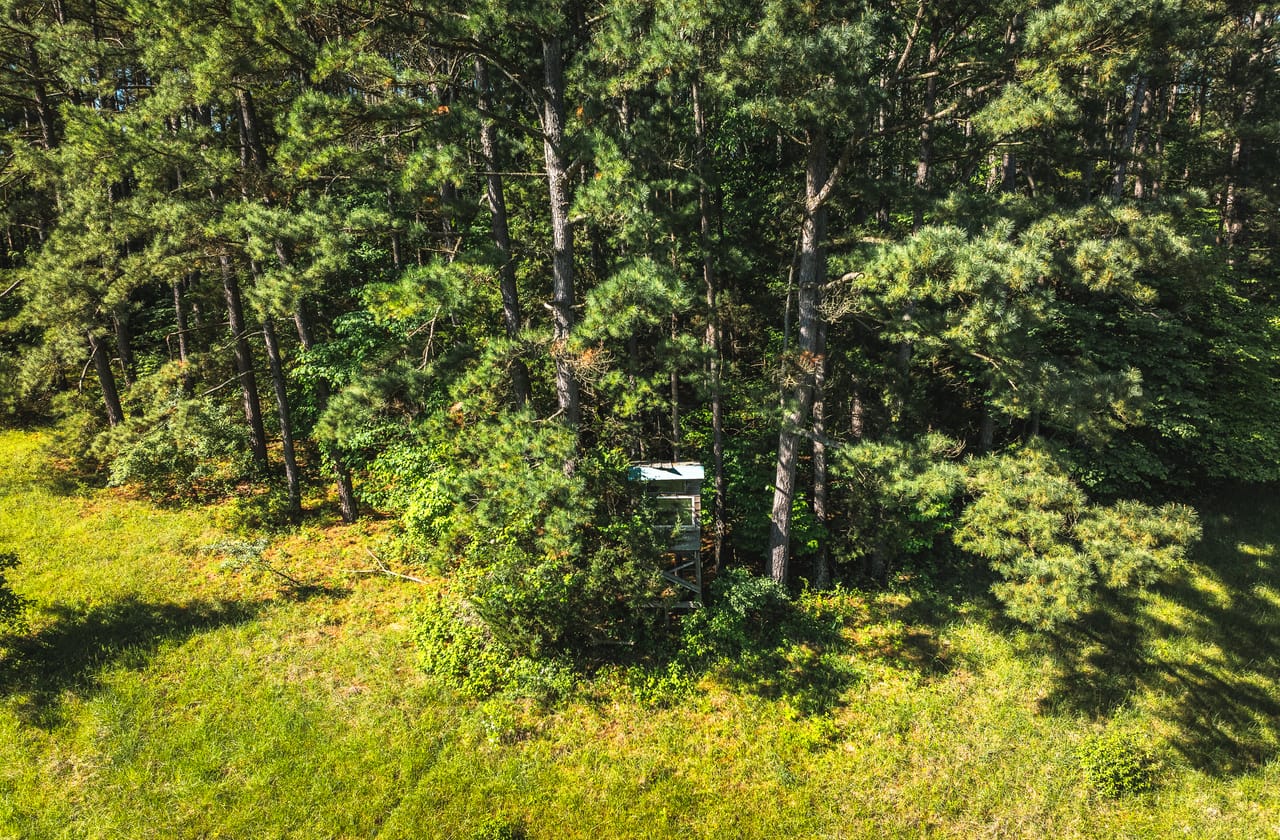 Listing Image 49