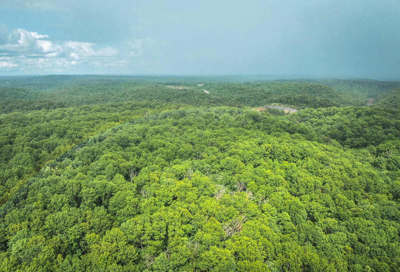 Listing Image 18